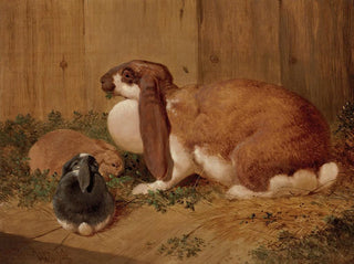 Benjamin Herring - A LopEared Doe Rabbit and her Young.webp