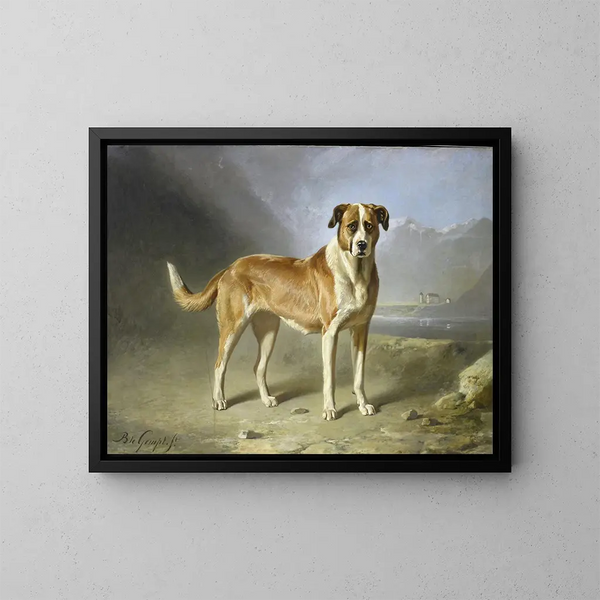 Hund Saint-Bernard - Bernard te Gempt — gerahmtes Bild an der Wand