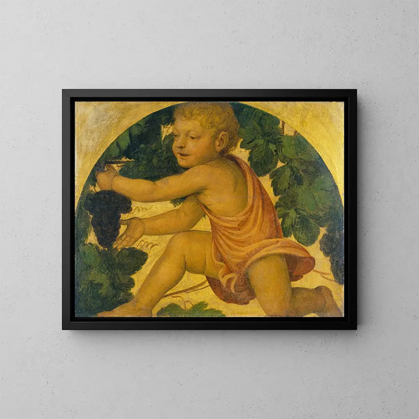 Putto cueillant des raisins - Bernardino Luini — gerahmtes Bild an der Wand