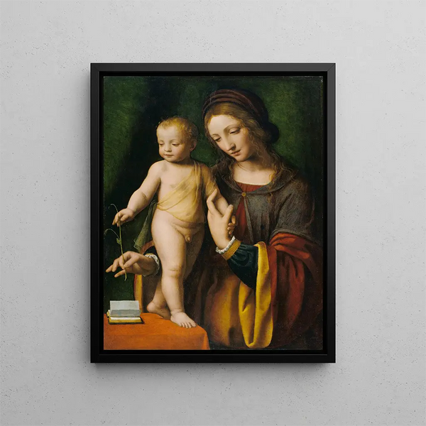 Die Jungfrau mit Kind und einer Taube - Bernardino Luini — gerahmtes Bild an der Wand