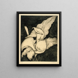 Bertha Jaques - Callas.webp