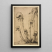 Darlingtonia - Bertha Jaques — gerahmtes Bild an der Wand