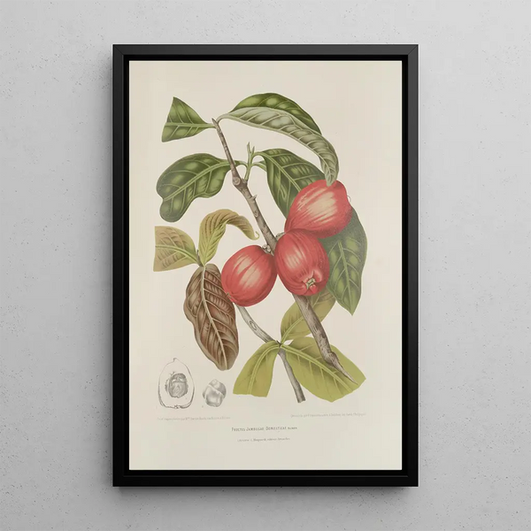 Reproduktion des Gemäldes Blumen, Früchte und ausgewählte Blätter von der Insel Java Pl30 - Berthe Hoola van Nooten