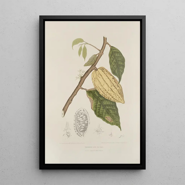 Reproduktion des Gemäldes Blumen, Früchte und ausgewählte Blätter von der Insel Java Pl35 - Berthe Hoola van Nooten