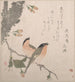Bouvreuils und Kirschblüten - Kubo Shunman — Ansicht des Kunstwerks