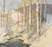 Ruhiger Winter - Frederick John Mulhaupt — Ansicht des Kunstwerks