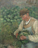 Der Gärtner, alter Bauer mit Kohl - Camille Pissarro — Ansicht des Kunstwerks