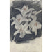 Lys blancs - Carel Adolph Lion Cachet — Ansicht des Kunstwerks