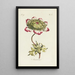 Reproduktion des Gemäldes Anemone - Carington Bowles