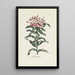 Reproduktion des Gemäldes Lychnis - Carington Bowles