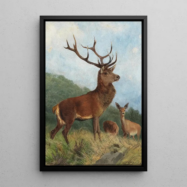 Ein dominanter Hirsch - Carl Friedrich Deiker — gerahmtes Bild an der Wand