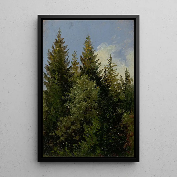 Sapins - Carl Gustav Carus — gerahmtes Bild an der Wand