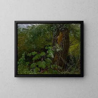 Carl Gustav Carus - Willow trunk with undergrowth.webp