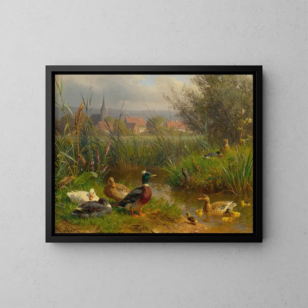 Enten - Carl Jutz — gerahmtes Bild an der Wand