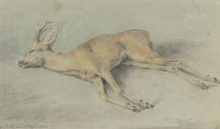 Carl Kuntz - Zur Strecke gebrachter Rehbock.webp