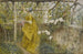 La Vigne - Carl Larsson — Ansicht des Kunstwerks