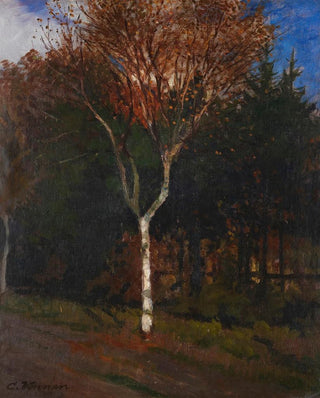 Carl Vinnen - Worpsweder Landschaft Junge Birke am Wegesrand.webp