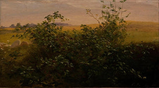 Carlo Dalgas - Hedge with blackberry.webp