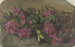 Rhododendrons - Cella Thoma — Ansicht des Kunstwerks
