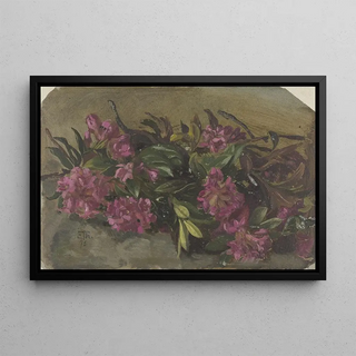 Cella Thoma - Alpenroses.webp