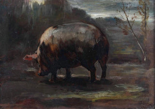 Cesare Viazzi - Studio di maialino.webp