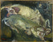Die Schweine - Chaïm Soutine — Ansicht des Kunstwerks