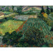 Reproduktion des Gemäldes Feld der Mohnblumen - Vincent van Gogh