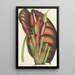 Alocasia metallica - Charles Antoine Lemaire — gerahmtes Bild an der Wand
