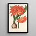 Amaryllis Hippeastrum Alberti - Charles Antoine Lemaire — gerahmtes Bild an der Wand