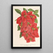 Bougainvillea spectabilis - Charles Antoine Lemaire — gerahmtes Bild an der Wand