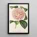 Reproduktion des Gemäldes Camellia Comtesse Lavinia Maggi - Charles Antoine Lemaire