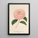 Reproduktion des Gemäldes Camellia Giardino Schmitz - Charles Antoine Lemaire