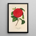 Reproduktion des Gemäldes Camellia Il Giogello - Charles Antoine Lemaire