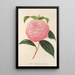Camellia Isabella Orsini Franchetti - Charles Antoine Lemaire — gerahmtes Bild an der Wand