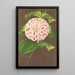 Camellia Madame Verschaffelt - Charles Antoine Lemaire — gerahmtes Bild an der Wand