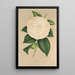 Camellia Sangalli - Charles Antoine Lemaire — gerahmtes Bild an der Wand