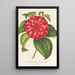 Reproduktion des Gemäldes Camellia Souvenir d'Émile Defresne - Charles Antoine Lemaire