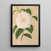 Camellia Virginia Franco - Charles Antoine Lemaire — gerahmtes Bild an der Wand