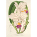 Cattleya quadricolor - Charles Antoine Lemaire — Ansicht des Kunstwerks