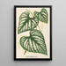Cissus Lindeni - Charles Antoine Lemaire — gerahmtes Bild an der Wand