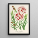 Reproduktion des Gemäldes Dianthus Verschaffeltii - Charles Antoine Lemaire