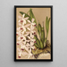 Reproduktion des Gemäldes Epidendrum conspicuum - Charles Antoine Lemaire