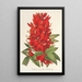 Reproduktion des Gemäldes Erythrina hybrida Marie Bellanger - Charles Antoine Lemaire