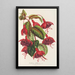 Fuchsia Solferino - Charles Antoine Lemaire — gerahmtes Bild an der Wand