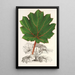 Reproduktion des Gemäldes Gunnera brephogea - Charles Antoine Lemaire