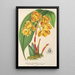 Houlletia chrysantha - Charles Antoine Lemaire — gerahmtes Bild an der Wand