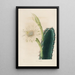 Reproduktion des Gemäldes Iconographie descriptive des cactus Pl11 - Charles Antoine Lemaire