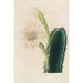 Reproduktion des Gemäldes Iconographie descriptive des cactus Pl11 - Charles Antoine Lemaire