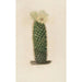 Reproduktion des Gemäldes Iconographie descriptive des cactus Pl13 - Charles Antoine Lemaire