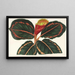 Maranta Roseo-Picta - Charles Antoine Lemaire — gerahmtes Bild an der Wand
